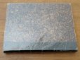 画像25: 1805年 初版 薔薇の画家 ルドゥテの植物画 65枚【 ジャン=ジャック・ルソーの植物学 】 BOTANIQUE DE J.J.ROUSSEAU
