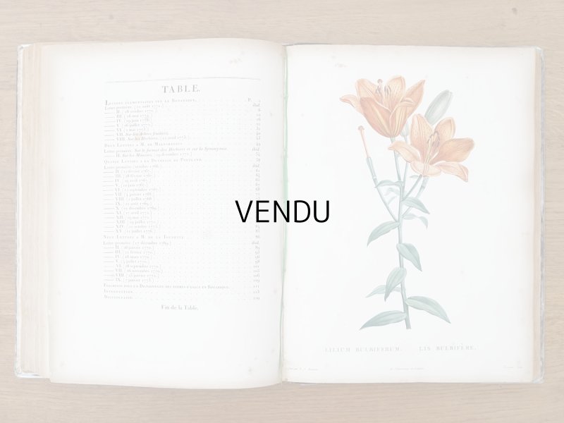 画像10: 1805年 初版 薔薇の画家 ルドゥテの植物画 65枚【 ジャン=ジャック・ルソーの植物学 】 BOTANIQUE DE J.J.ROUSSEAU