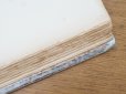 画像30: 1805年 初版 薔薇の画家 ルドゥテの植物画 65枚【 ジャン=ジャック・ルソーの植物学 】 BOTANIQUE DE J.J.ROUSSEAU