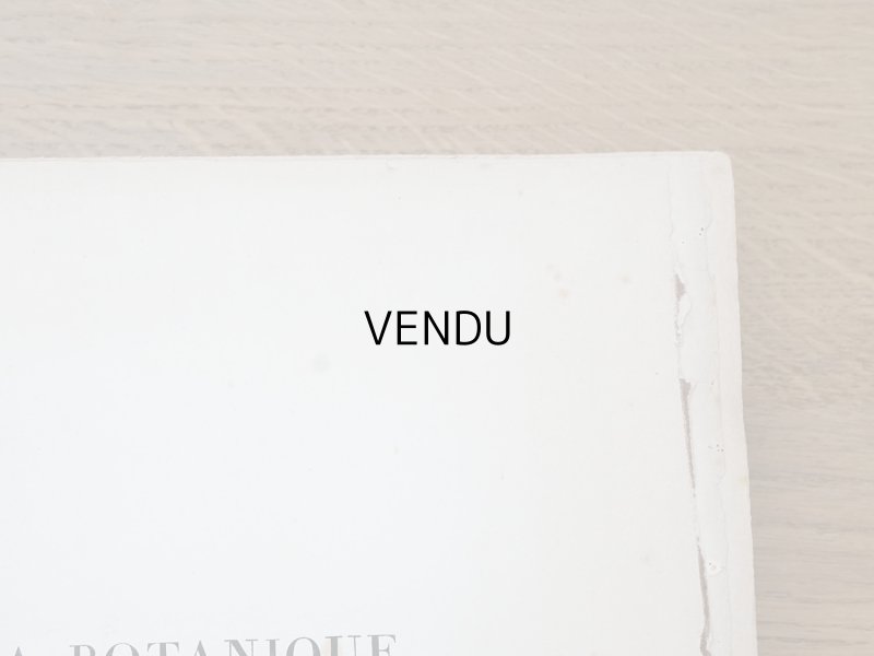 画像3: 1805年 初版 薔薇の画家 ルドゥテの植物画 65枚【 ジャン=ジャック・ルソーの植物学 】 BOTANIQUE DE J.J.ROUSSEAU