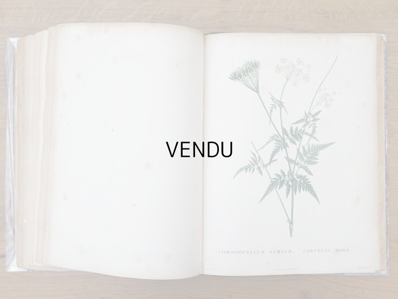画像15: 1805年 初版 薔薇の画家 ルドゥテの植物画 65枚【 ジャン=ジャック・ルソーの植物学 】 BOTANIQUE DE J.J.ROUSSEAU