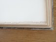 画像38: 1805年 初版 薔薇の画家 ルドゥテの植物画 65枚【 ジャン=ジャック・ルソーの植物学 】 BOTANIQUE DE J.J.ROUSSEAU