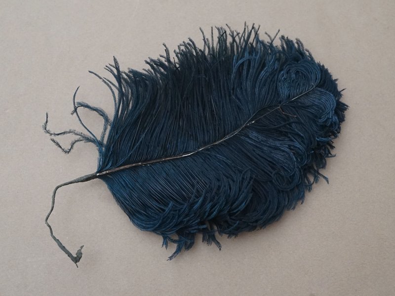 画像4: アンティーク フェザー 深いブルーグリーン 羽飾り