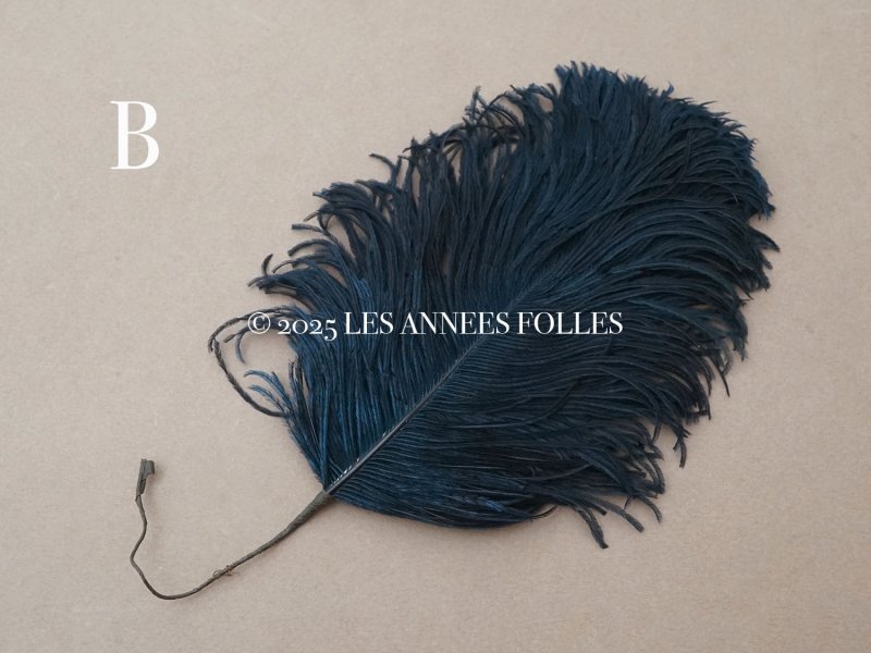 画像5: アンティーク フェザー 深いブルーグリーン 羽飾り
