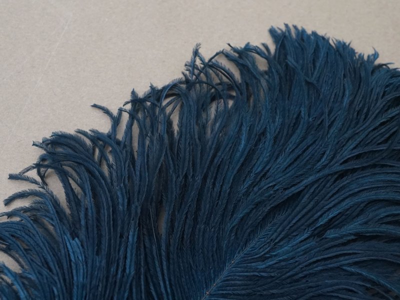 画像7: アンティーク フェザー 深いブルーグリーン 羽飾り