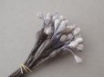 画像3: アンティーク ペップ 布花用 花芯 グレイッシュパープル