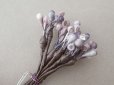 画像9: アンティーク ペップ 布花用 花芯 グレイッシュパープル