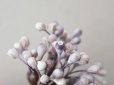 画像13: アンティーク ペップ 布花用 花芯 グレイッシュパープル