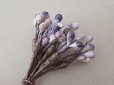 画像7: アンティーク ペップ 布花用 花芯 グレイッシュパープル