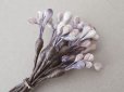 画像11: アンティーク ペップ 布花用 花芯 グレイッシュパープル