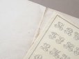 画像4: アンティーク アルファベットの刺繍図案帳 草花 N 97 ALPHABETS VARIES - N.ALEXANDRE&CIE. MAURICE LAJEUNESSE SUCCR. -