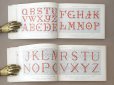 画像6: アンティーク DMC 刺繍図案帳 ALPHABET DE LA BRODEUSE - BIBLIOTHEQUE D.M.C -