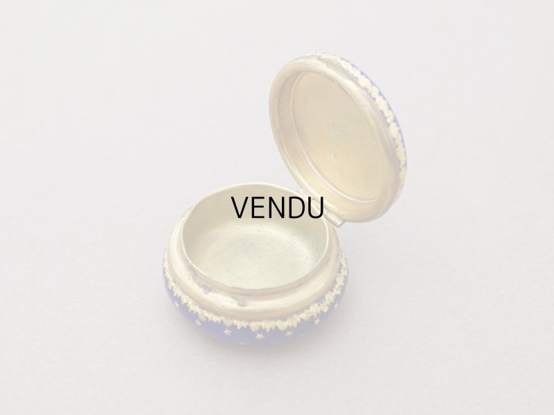 画像5: 19世紀 アンティーク ピルケース ブレッソンエナメル パールの装飾 ブルーのエナメル 薔薇のリース