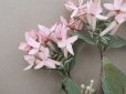 画像5: アンティーク 大きなブーケ  淡いピンクの布花 ラベル付 (5)