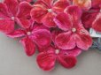 画像4: 未使用 アンティーク ベルベットの布花 チェリーピンクラベル付  プランタン百貨店 - AU PRINTEMPS -