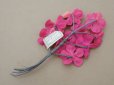 画像6: 未使用 アンティーク ベルベットの布花 チェリーピンクラベル付  プランタン百貨店 - AU PRINTEMPS -