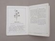 画像7: 1864〜1882年頃 アンティーク 花モチーフ クロシェ編み ALBUM POUR OUVRAGES DE FLEURS AU CROCHET N 45 - MAISON SAJOU -