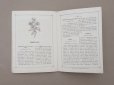 画像8: 1864〜1882年頃 アンティーク 花モチーフ クロシェ編み ALBUM POUR OUVRAGES DE FLEURS AU CROCHET N 45 - MAISON SAJOU -