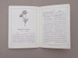 画像9: 1864〜1882年頃 アンティーク 花モチーフ クロシェ編み ALBUM POUR OUVRAGES DE FLEURS AU CROCHET N 45 - MAISON SAJOU -