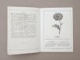 画像6: 1864〜1882年頃 アンティーク 花モチーフ クロシェ編み ALBUM POUR OUVRAGES DE FLEURS AU CROCHET N 45 - MAISON SAJOU -