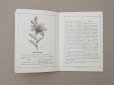 画像4: 1864〜1882年頃 アンティーク 花モチーフ クロシェ編み ALBUM POUR OUVRAGES DE FLEURS AU CROCHET N 45 - MAISON SAJOU -