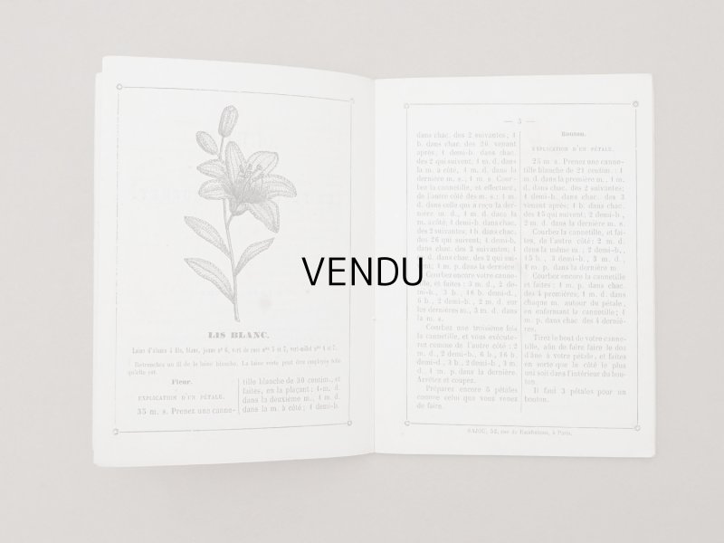 画像4: 1864〜1882年頃 アンティーク 花モチーフ クロシェ編み ALBUM POUR OUVRAGES DE FLEURS AU CROCHET N 45 - MAISON SAJOU -