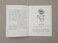画像5: 1864〜1882年頃 アンティーク 花モチーフ クロシェ編み ALBUM POUR OUVRAGES DE FLEURS AU CROCHET N 45 - MAISON SAJOU -