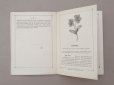 画像7: 1882年 アンティーク 花モチーフ クロシェ編み ALBUM POUR OUVRAGES DE FLEURS AU CROCHET N 44 - MAISON SAJOU -