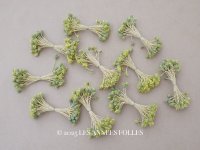 ＊蚤の市セット＊アンティーク 花芯 ペップ 10点のセット