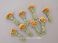 画像1: ＊蚤の市セット＊アンティーク 花芯 ペップ 8点のセット (1)
