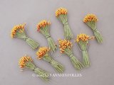＊蚤の市セット＊アンティーク 花芯 ペップ 8点のセット