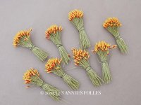 ＊蚤の市セット＊アンティーク 花芯 ペップ 8点のセット