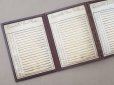 画像3: 19世紀末 アンティーク カンヌティーユのサンプラー 金の刺繍糸