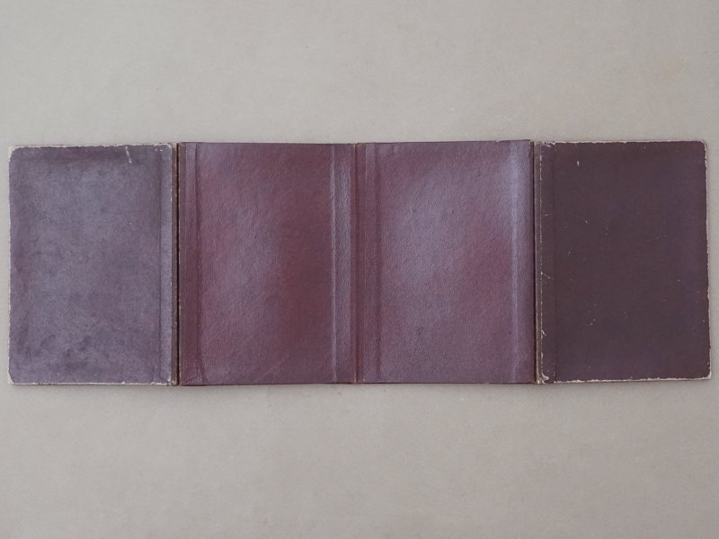 画像7: 19世紀末 アンティーク カンヌティーユのサンプラー 金の刺繍糸