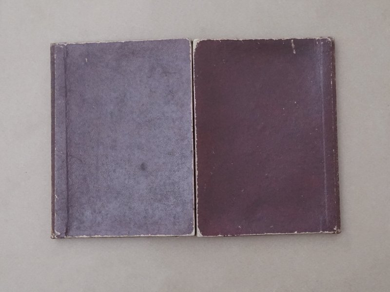 画像9: 19世紀末 アンティーク カンヌティーユのサンプラー 金の刺繍糸