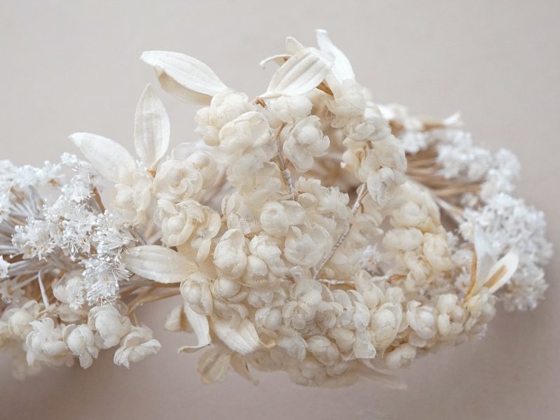 画像12: 19世紀末 アンティーク 薔薇の花冠 コットンオーガンジー ティアラ