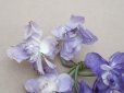 画像3: アンティーク シルク製 菫の布花 パルマ菫  (3)