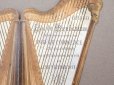 画像3: 1891年 アンティーク 舞踏会の手帳 ハープ型 カルネ・ド・バル LUNDI 9 FEVRIER 1914