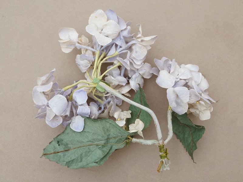 画像2: アンティーク 紫陽花の大きな布花 淡い青紫 