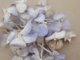画像2: アンティーク 紫陽花の布花 淡い青紫  (2)
