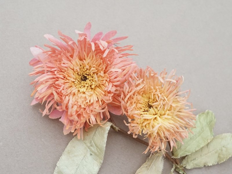 画像3:  アンティーク 布花 ダリア