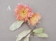 画像2:  アンティーク 布花 ダリア (2)