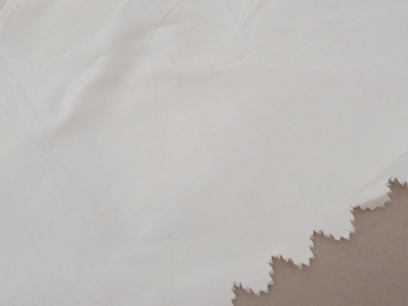 画像11: アンティーク シルク製 幅広 ドレスの裾 エクリュ 3.55m 18cm幅 ドレスパーツ