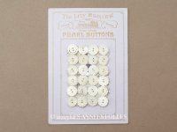 アンティーク カット入り シェルボタン 11mm 24ピース 