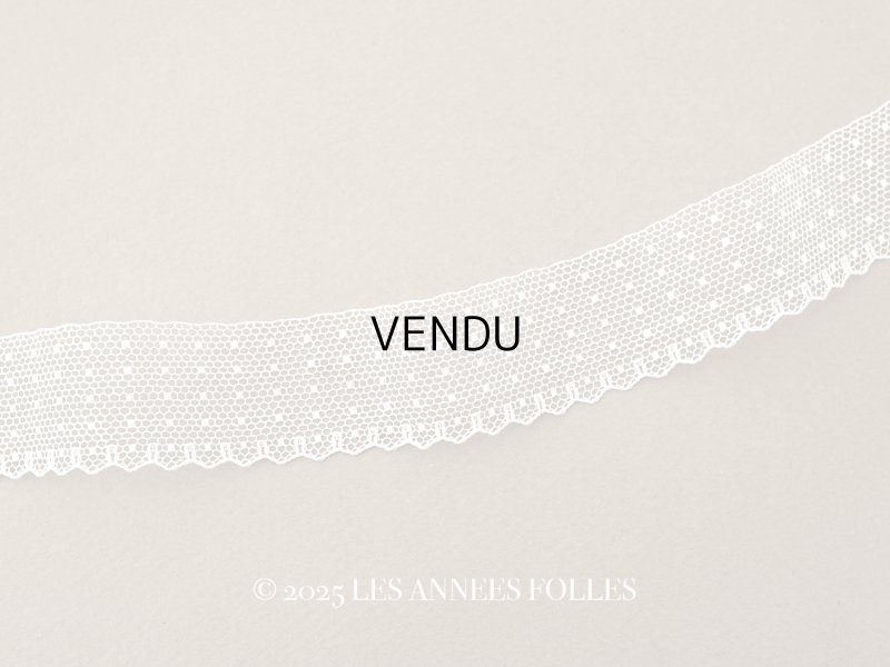 画像1: アンティーク ドット柄 スカラップ チュールレース 2.5cm幅