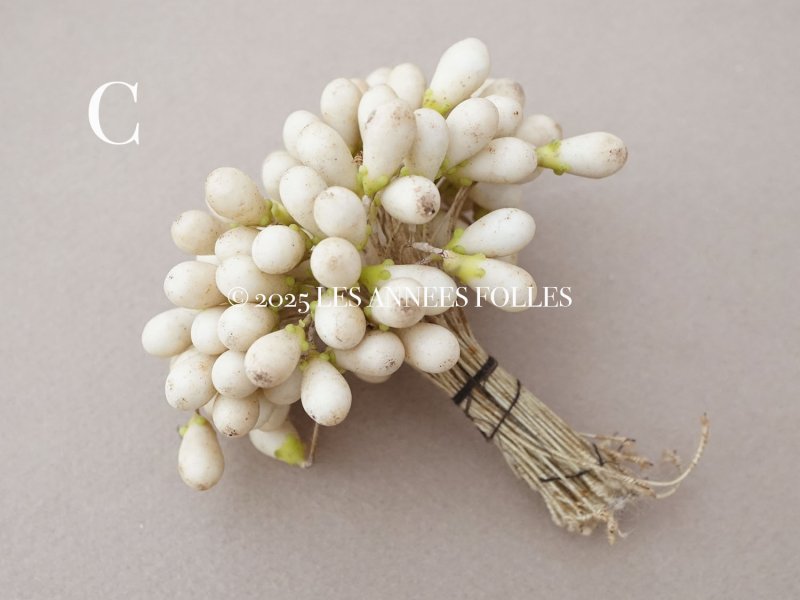 画像10: 1900年頃 アンティーク ワックスフラワーのティージュ 約100ピース