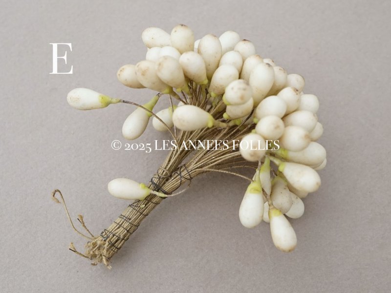 画像16: 1900年頃 アンティーク ワックスフラワーのティージュ 約100ピース