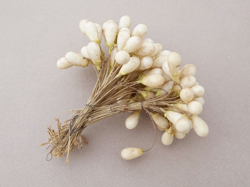 画像8: 1900年頃 アンティーク ワックスフラワーのティージュ 約100ピース