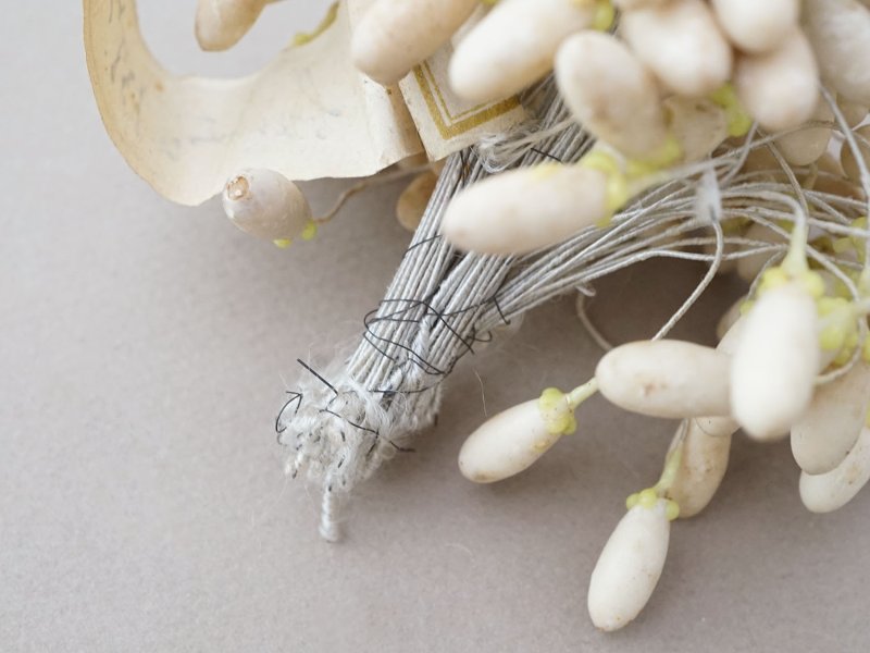 画像5: 1900年頃 アンティーク ワックスフラワーのティージュ 約100ピース