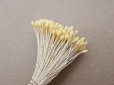 画像2: アンティーク 花芯 ペップ 布花用 クリームイエロー (2)